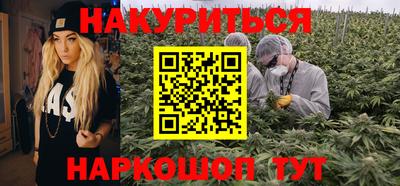 сатива Камышлов